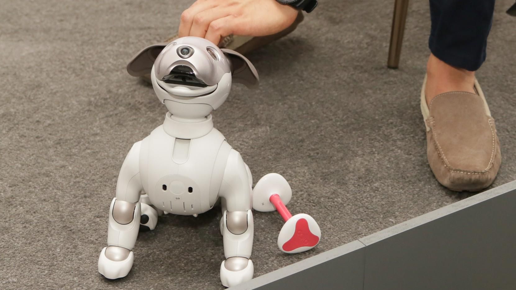 Sony's new Aibo robot dog is cuter, does better tricks at CES